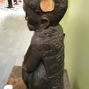 The damaged Walumbe(Death). Courtesy Dr. Derek Peterson